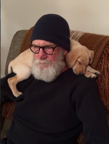 David Letterman Biography