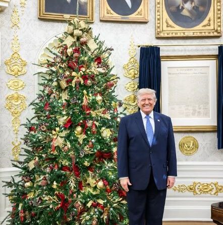 Donald Trump Biography