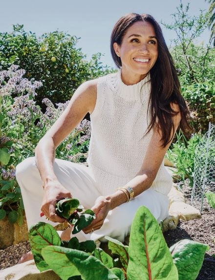 Meghan Duchess of Sussex Biography