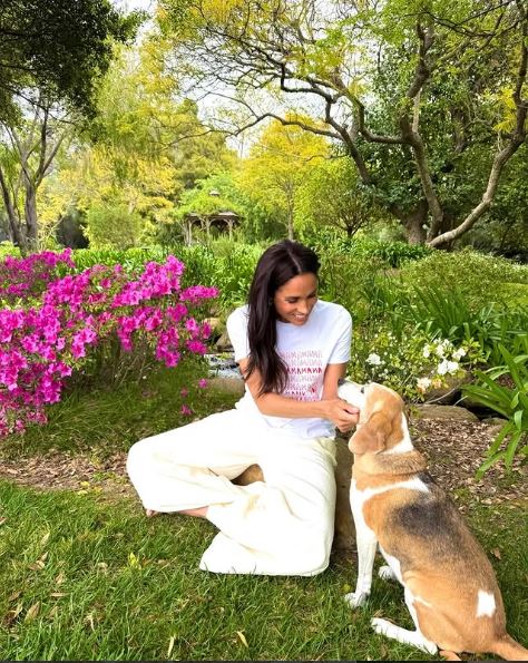 Meghan Duchess of Sussex Biography