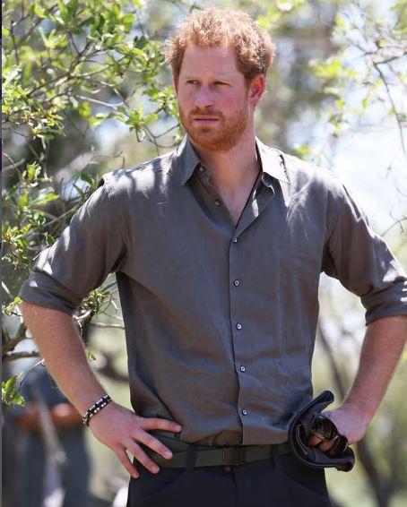 Prince Harry, Duke of Sussex Biography