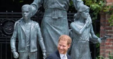Prince Harry, Duke of Sussex Biography