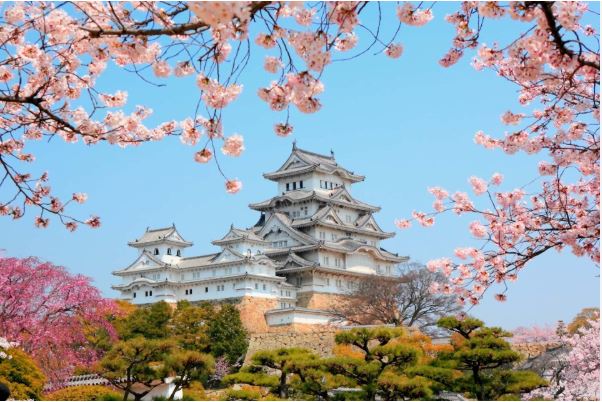 Top 10 countries to visit in the world.