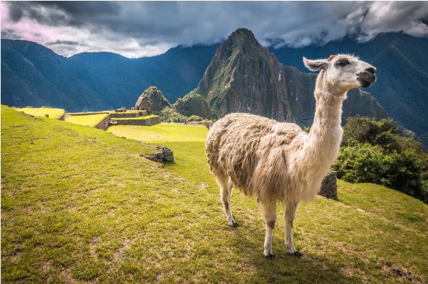 Top 10 countries to visit in the world