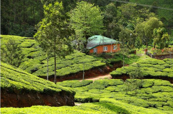 Top 10 places to visit in India