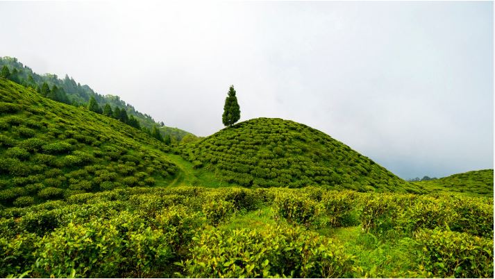 Top 10 places to visit in India