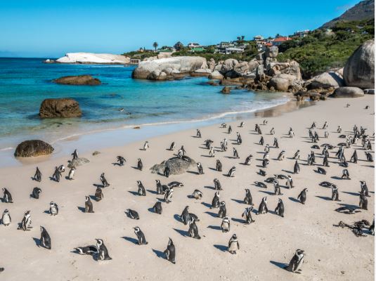 Top 10 places to visit in december and january month in the world