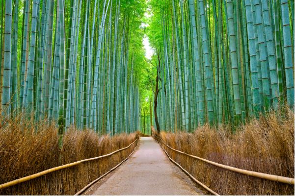 Top 10 places to visit in december and january month in the world