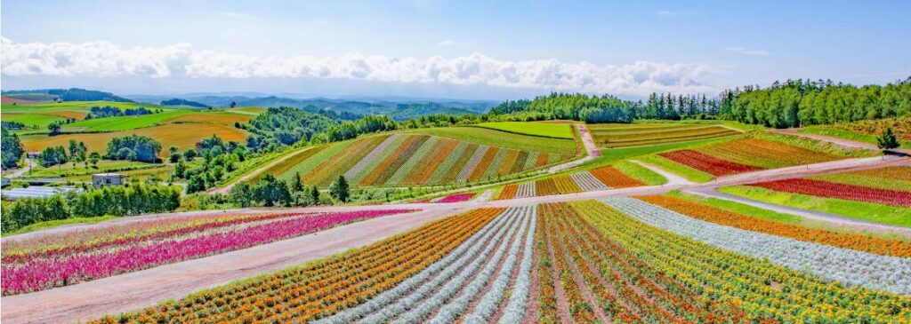 Top 10 places to visit in july and august month in the world in 2026