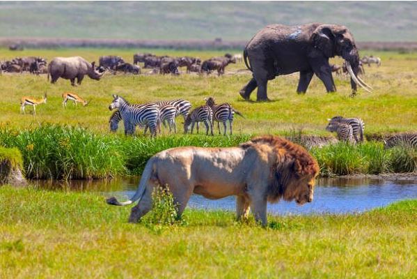 Top 10 places to visit in july and august month in the world in 2026