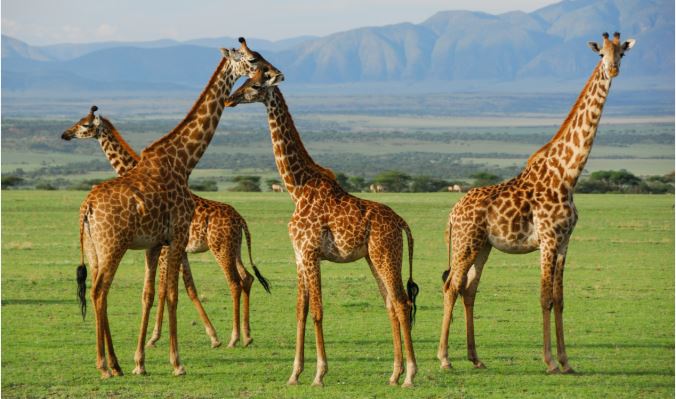 Top 10 places to visit in july and august month in the world in 2026