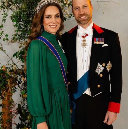 William, Prince of Wales Biography